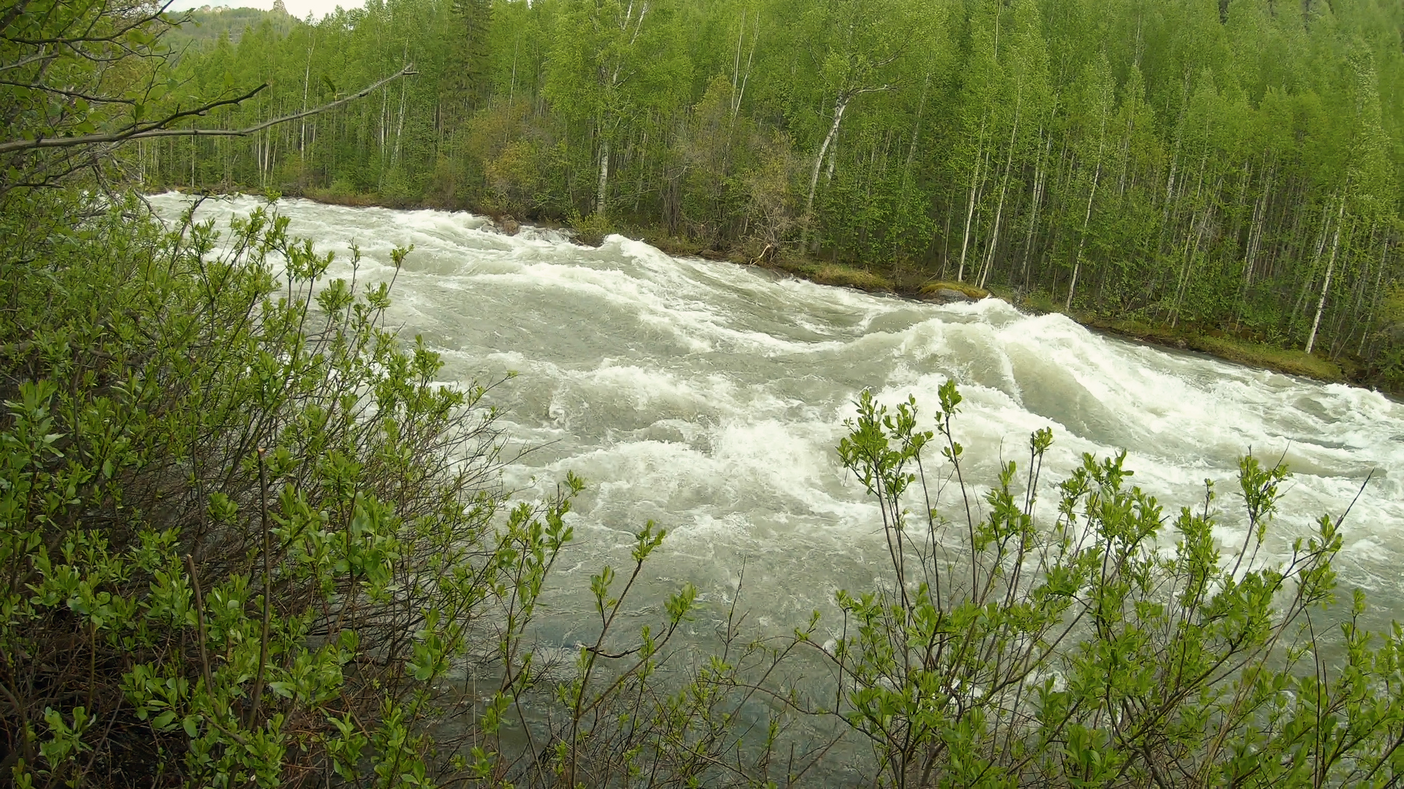 An attempt to independently pass a simple rapids on the river - My, Tourism, Travels, River, Water tourism, Alloy, River rafting, Video, Longpost