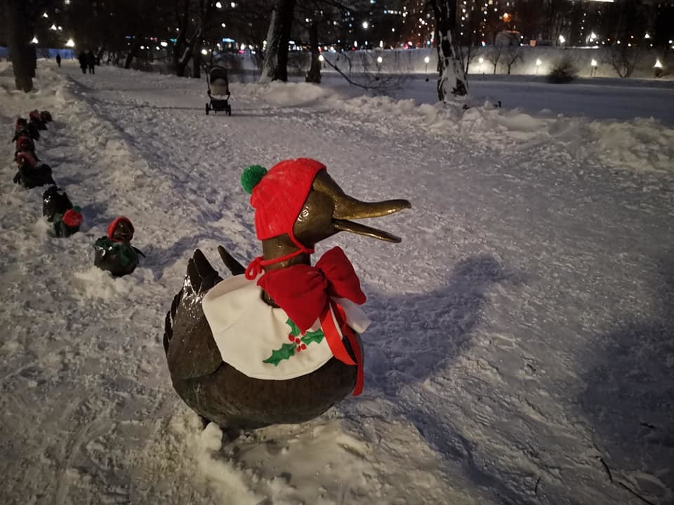 Mother duck and her brood - Duck, Novodevichy Convent, New Year