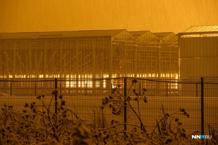 Reply to the post Greenhouse facilities near the town of Ramenskoye - Russia, The photo, Winter, Greenhouse, Сельское хозяйство, Boron, Nizhny Novgorod Region, Negative, Reply to post, Longpost