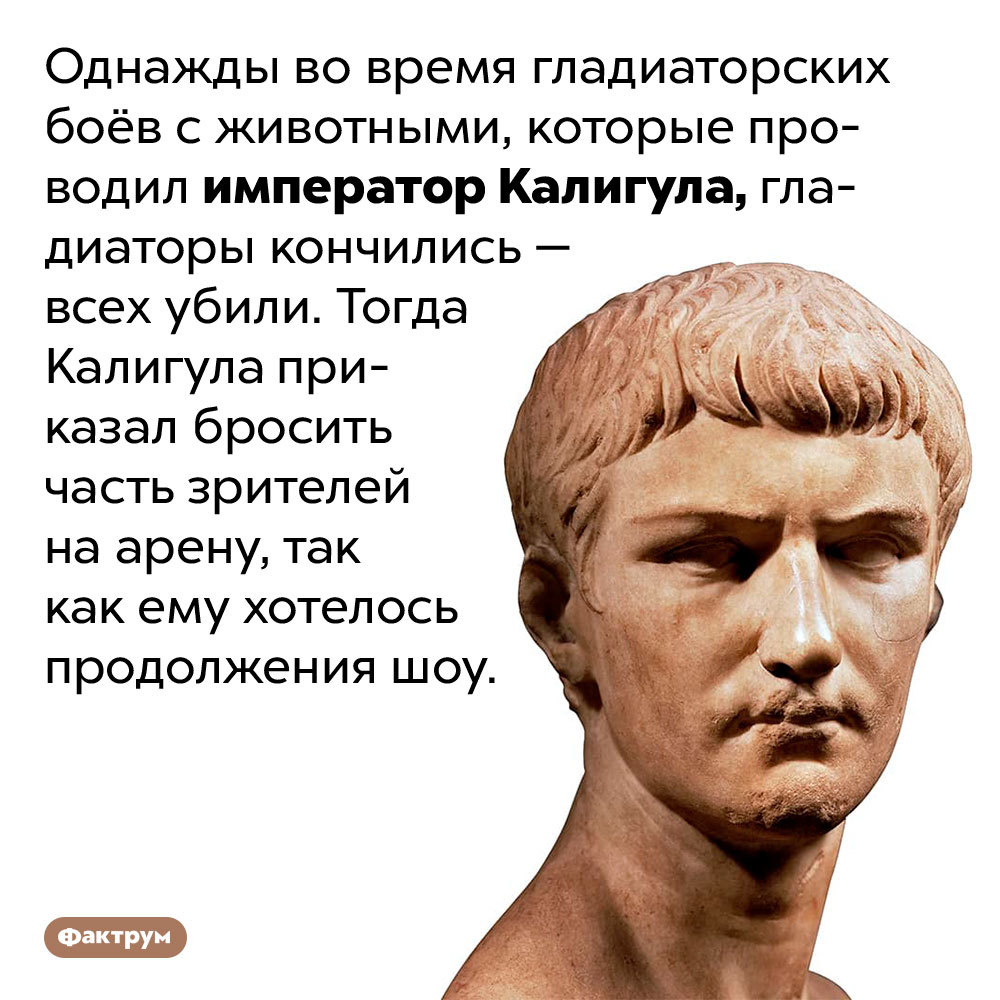 Ужасный Калигула, гладиаторши, вомитории, Фалернское вино и другие  интересные факты о Древнем Риме! | Пикабу