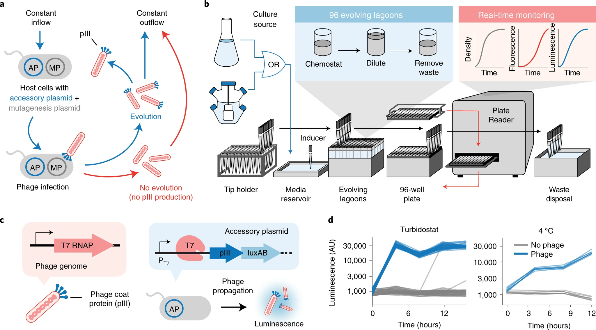 PRANCE: a robotic system to accelerate the directed evolution of molecules in the laboratory - Translation, The science, Evolution, Evolution theory, Robotics, Journal of Nature, Video, Longpost