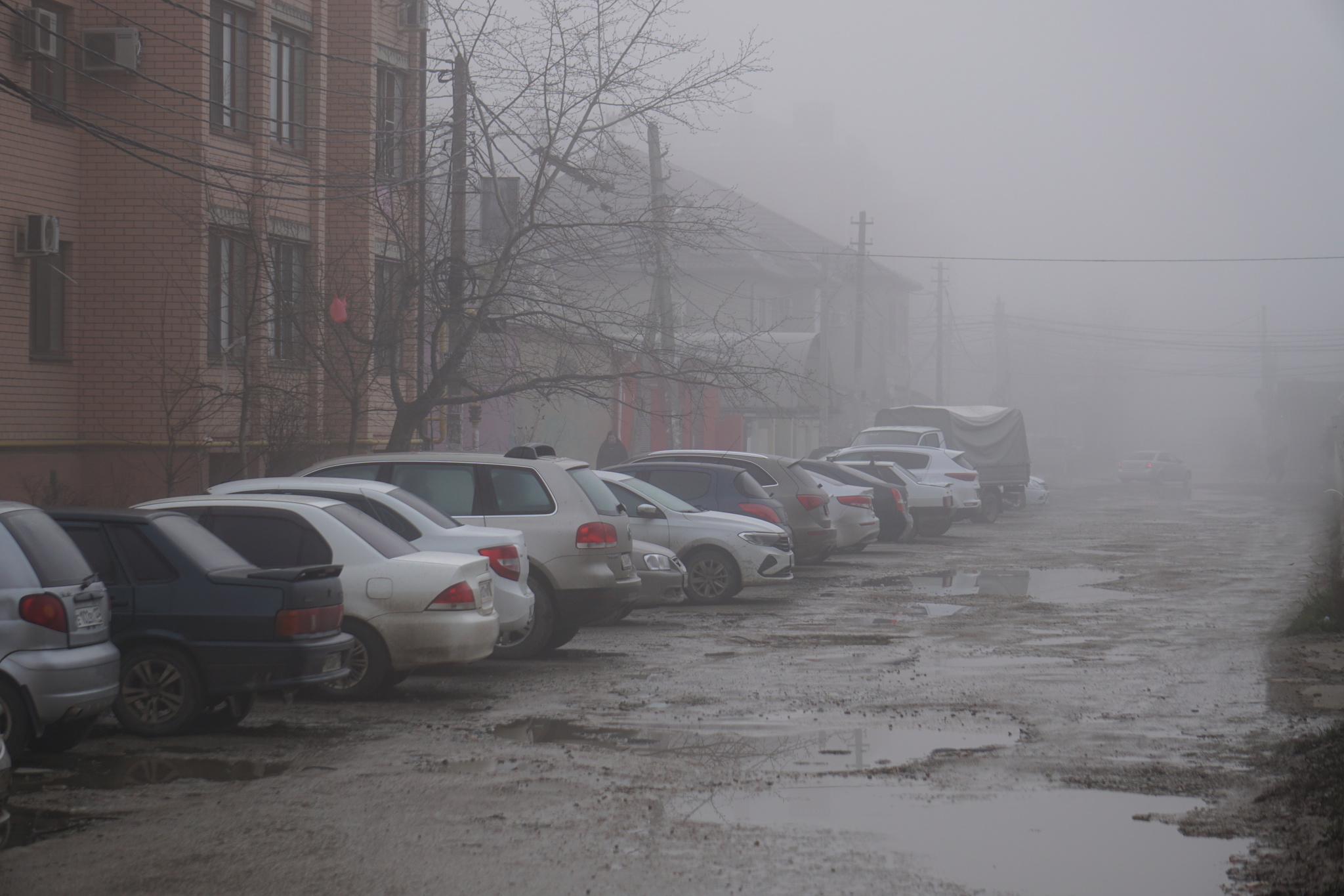 New Year's city - My, Krasnodar, Краснодарский Край, Fog, Longpost