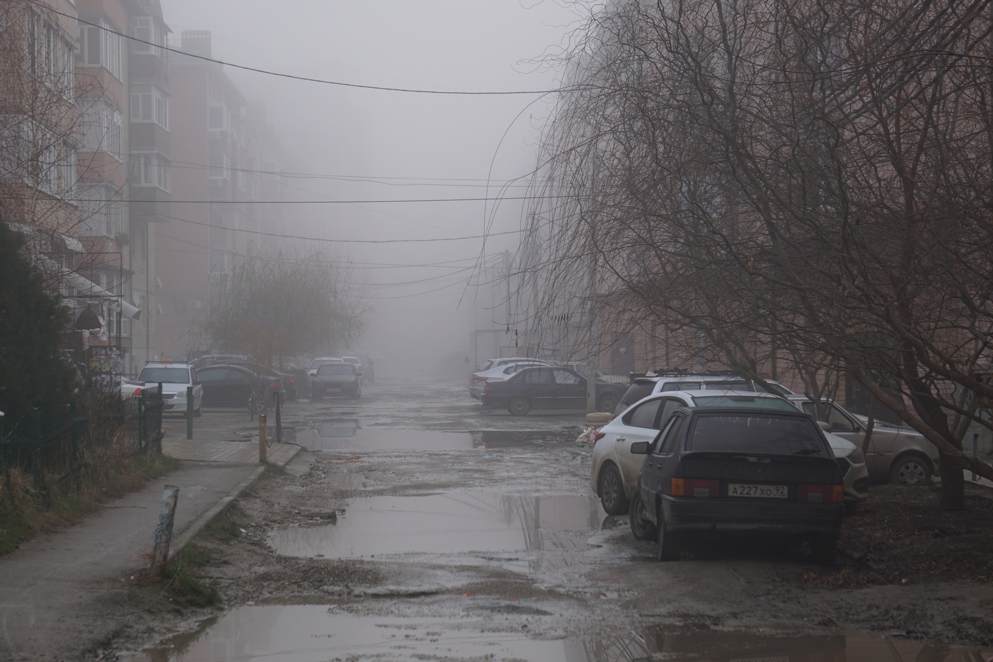 New Year's city - My, Krasnodar, Краснодарский Край, Fog, Longpost