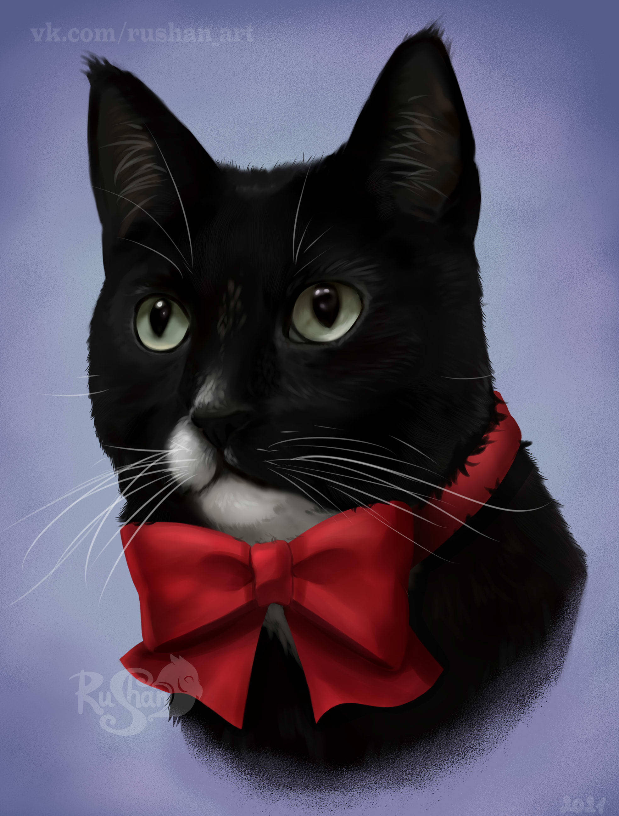 Bow - My, Art, Digital drawing, cat, Black cat, Pets, Bow, Digital