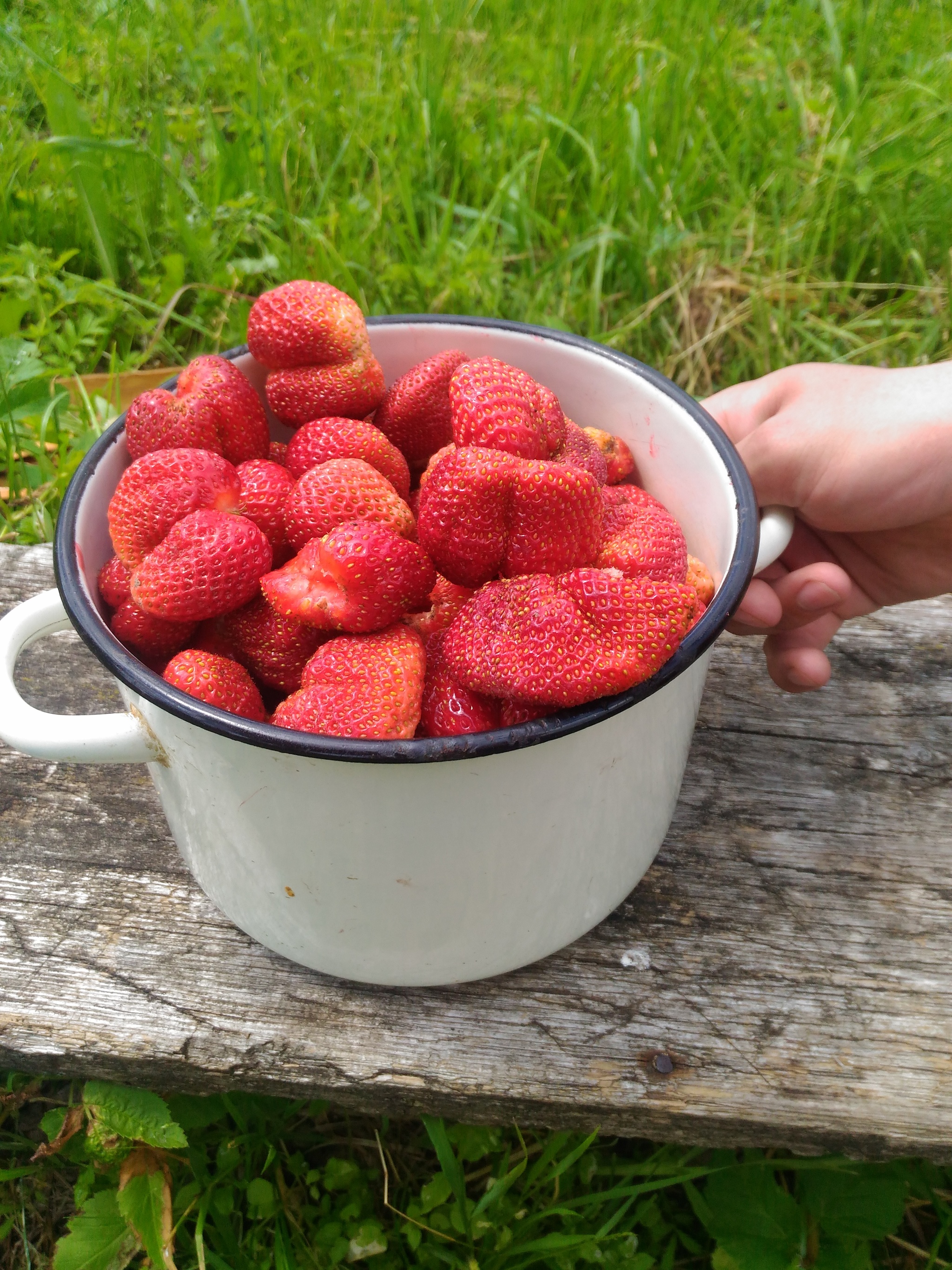 Winter, so I want strawberries - My, Strawberry (plant), Summer, Vitamins