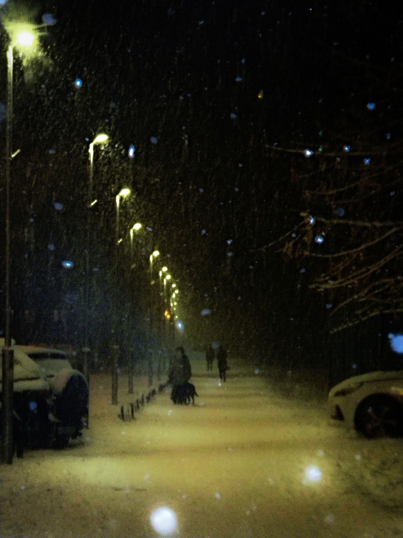 Bustle... - My, Nikon, Canon, Winter, New Year, Blizzard, Yearning, Poor quality, Beginning photographer, The park, Steam, Street photography, The street, Night, Lamppost