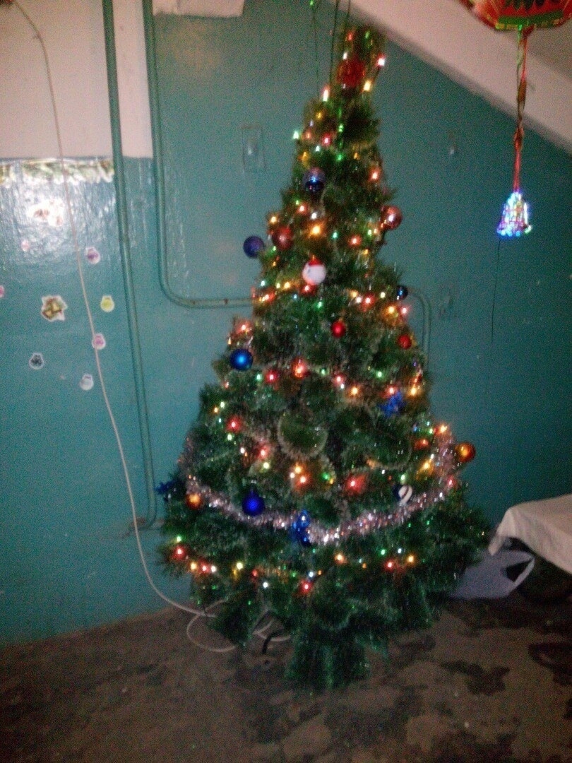 Neighbors decorated the entrance - New Year, Christmas trees, Entrance, Decoration, Severodvinsk, Neighbours, Longpost