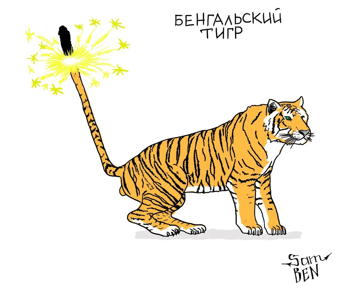 Бенгальский тигр: Король джунглей, с чьей силой считаются даже медведи ...
