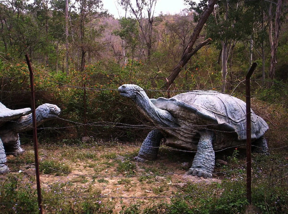 Megalochelis: A tortoise the size of a car. The colossus that was killed by the ancestors of people - Turtle, Prehistoric animals, Paleontology, Animal book, Yandex Zen, Longpost, Extinct species, Interesting, Wild animals, Reptiles