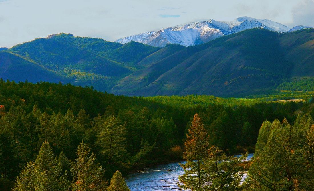 In the heart of the taiga. How in the Soviet Union a family lived for three decades in a deep forest without contact with civilization - Story, Facts, Biography, Informative, the USSR, Agafya Lykova, Hermits, Taiga, Old Believers, Longpost, Russia, Onliner by