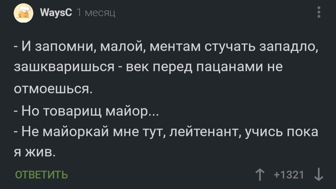 Понятия - Скриншот, Комментарии, Комментарии на Пикабу, Полиция, Лейтенант, Майор, Учеба, Учитель