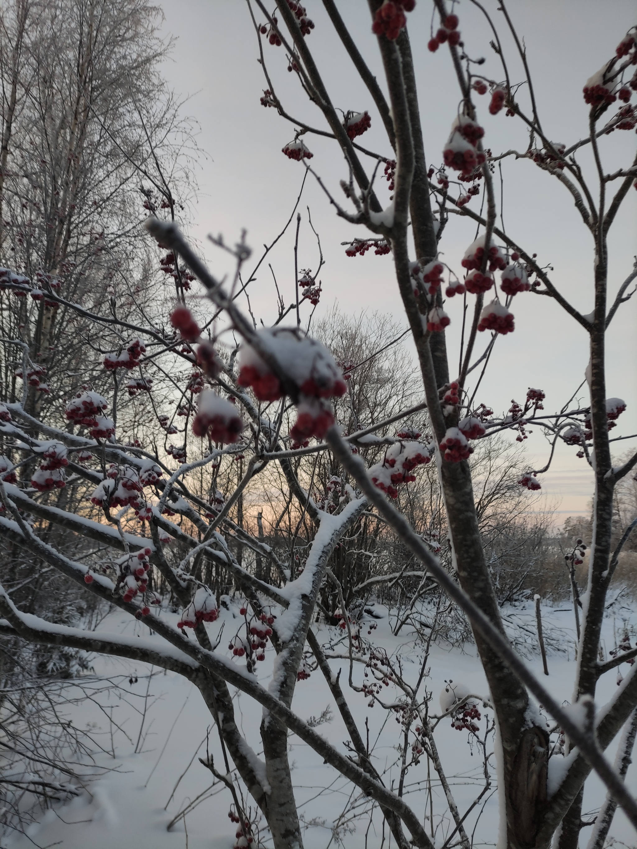 Trip to Sinevo 12/26/2021 - 12/27/2021 - My, Walk in the woods, Winter, Leningrad region, Chalet, Lake Vuoksi, Sunset, Camping, Longpost