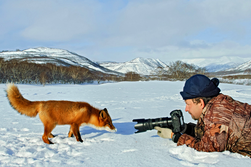 Who are you? - Fox, Snow, Photographer