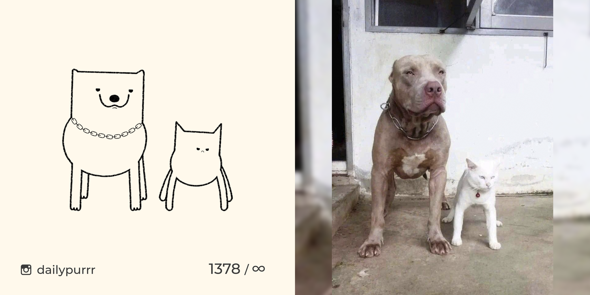 When you are told not to get involved with a bad company, but you founded it yourself - My, cat, Drawing, Animals, Dailypurrr, Dog, Cats and dogs together, Pets