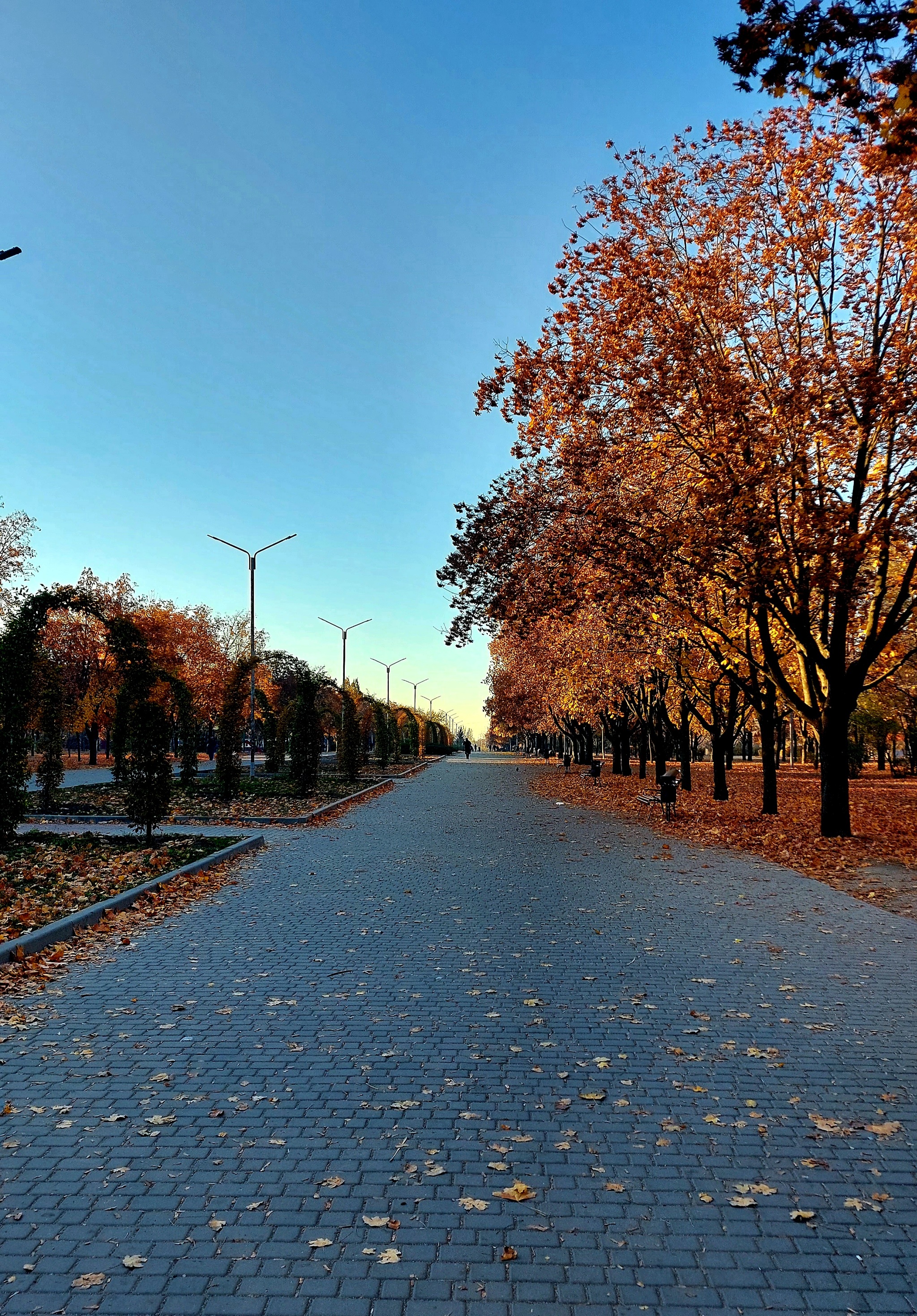 Walking in the autumn parks. Zaporizhzhia - Mobile photography, Nature, Zaporizhzhia, Autumn, beauty, The park, Longpost