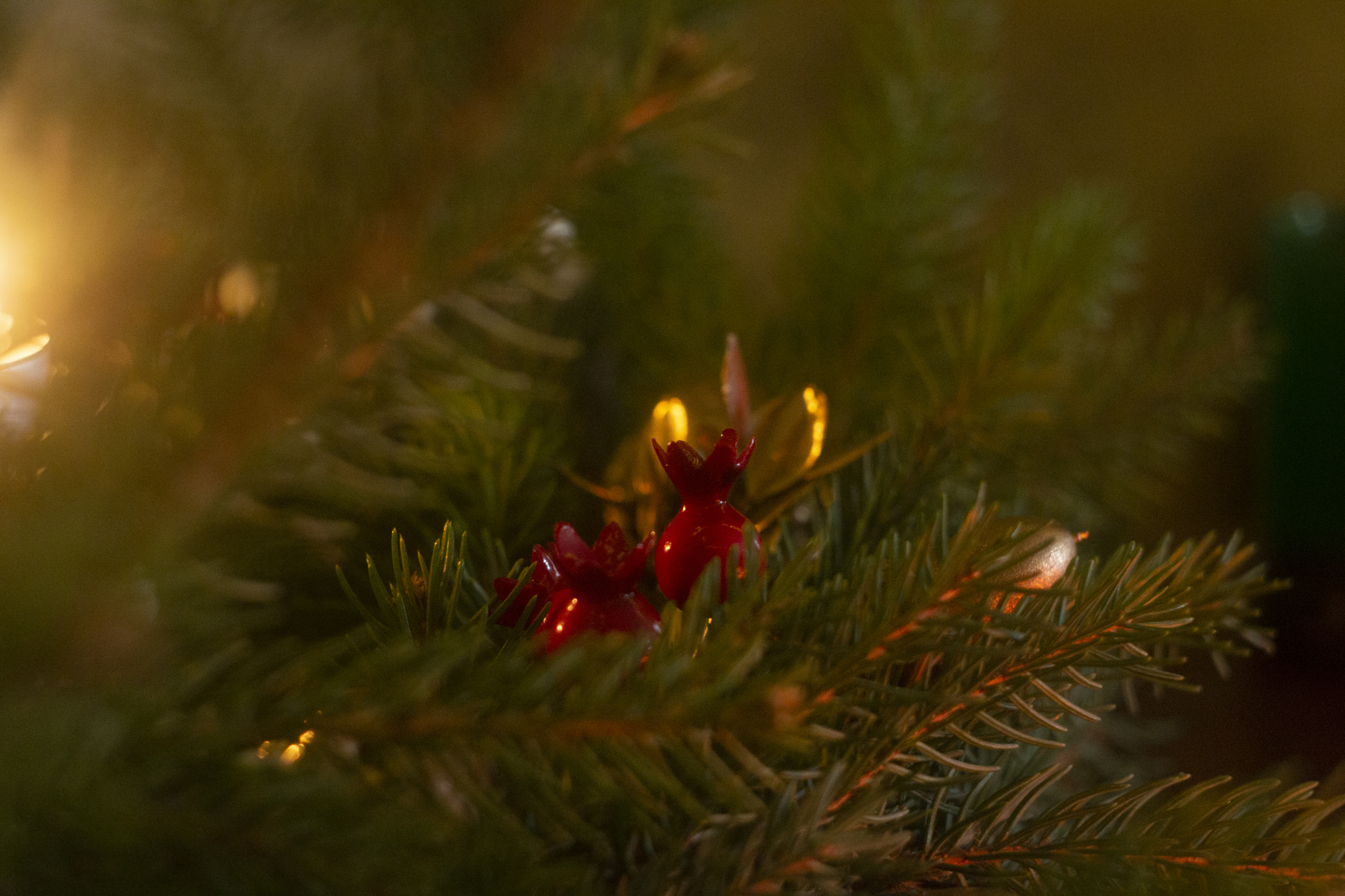 Christmas - My, Christmas wreath, Christmas, Helios, The photo, Candle, Needles, Winter, Traditions, Longpost