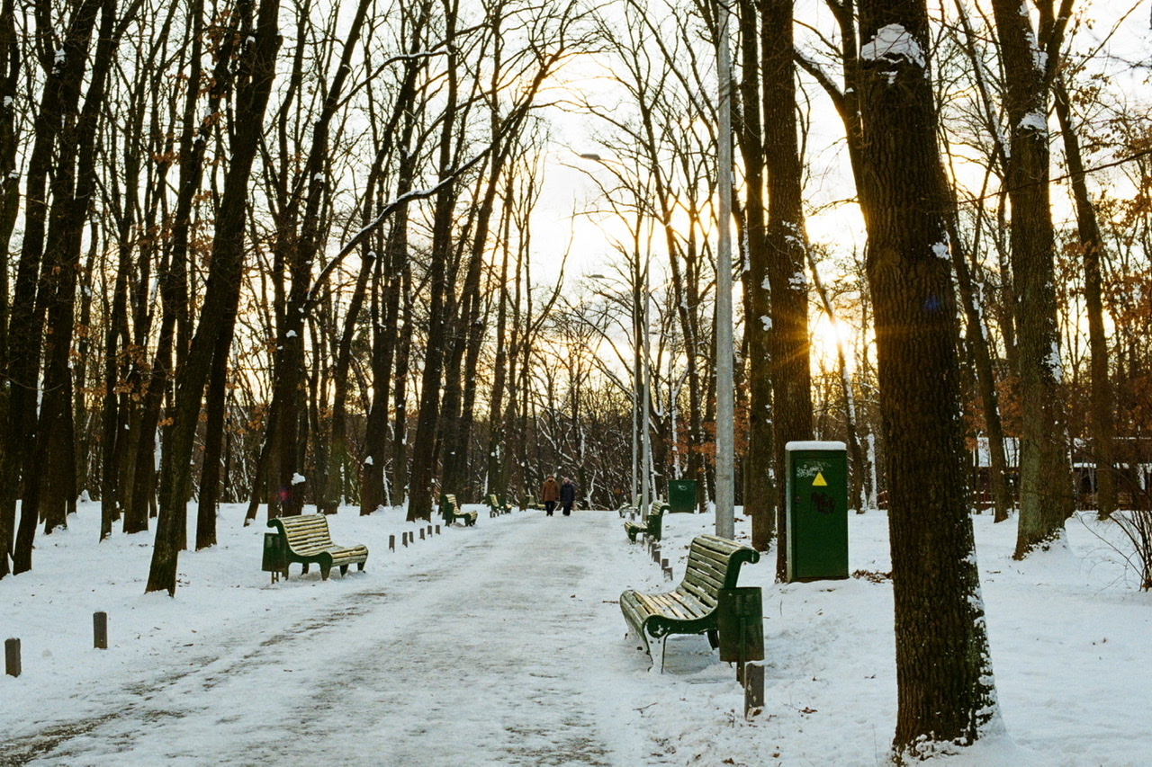 Киев, Голосеевский парк - Моё, Фотография, Фотопленка, Пленка не умерла, Nikon, Kodak, Зима, Парк, Снег, Озеро, Дикие утки, Природа, Длиннопост