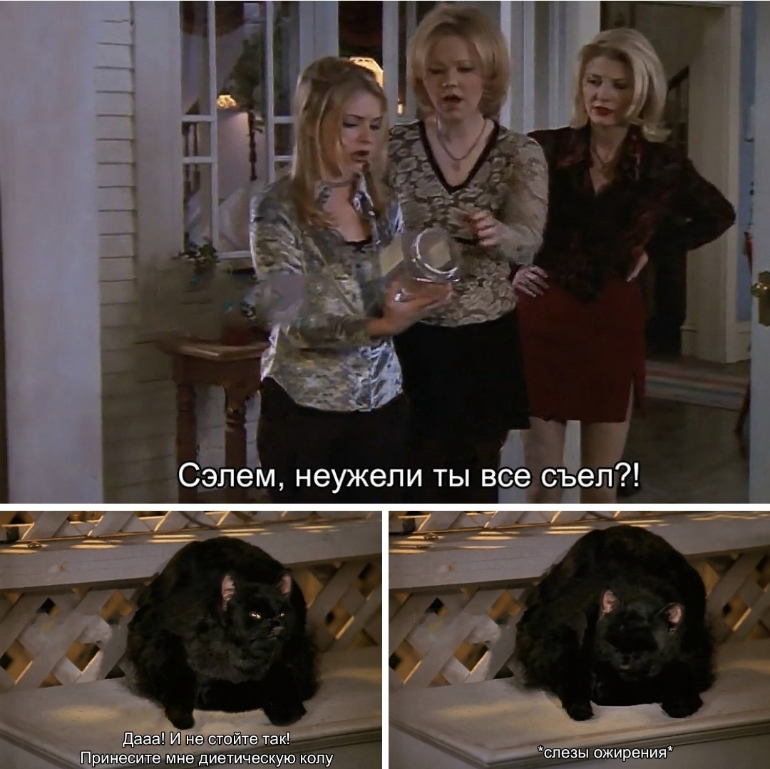 Post-holiday tears - Gluttony, Salem, Sabrina the Little Witch, New Year, cat