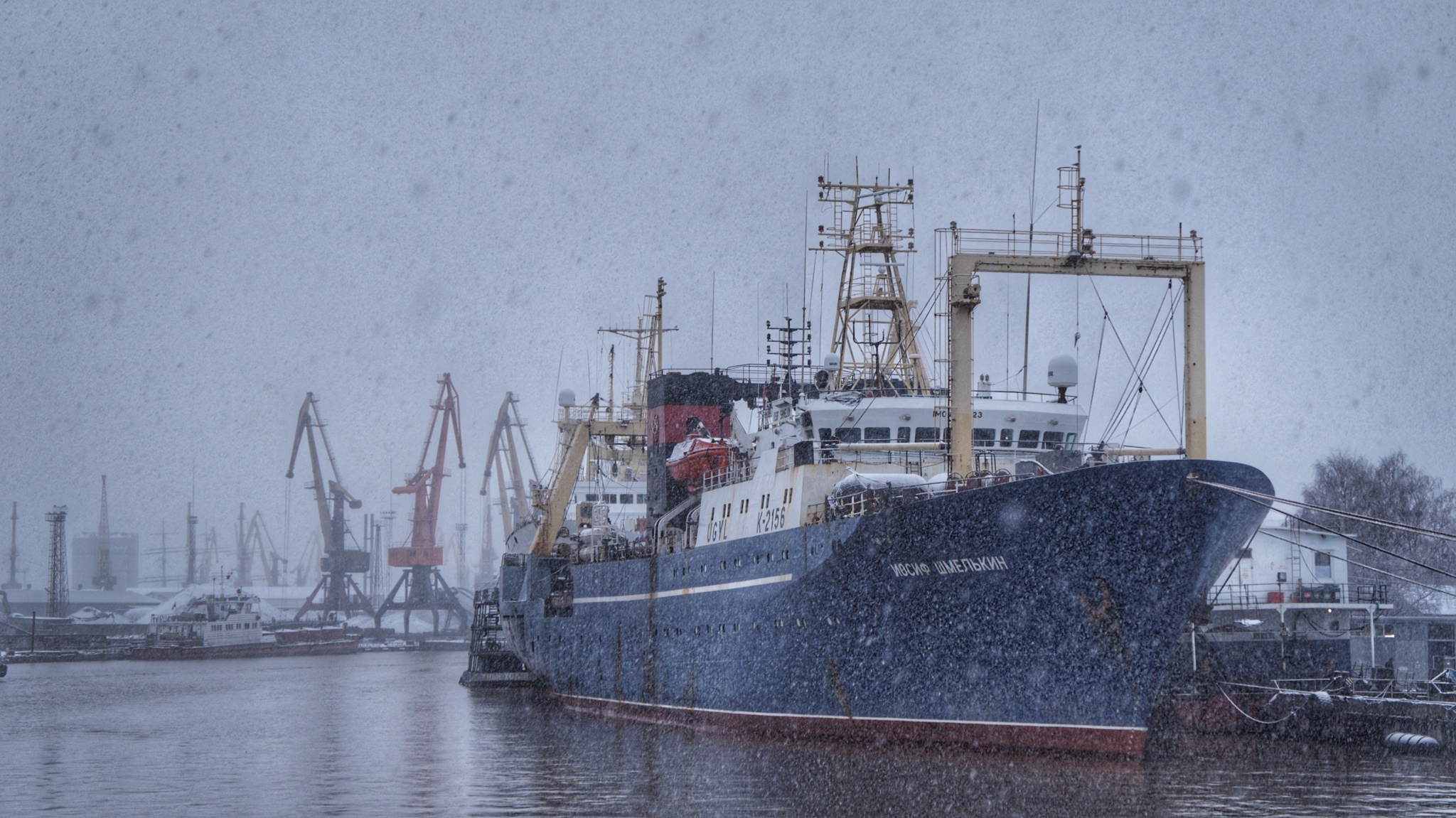 The city's port... - My, Ship, Port, Snow, The photo