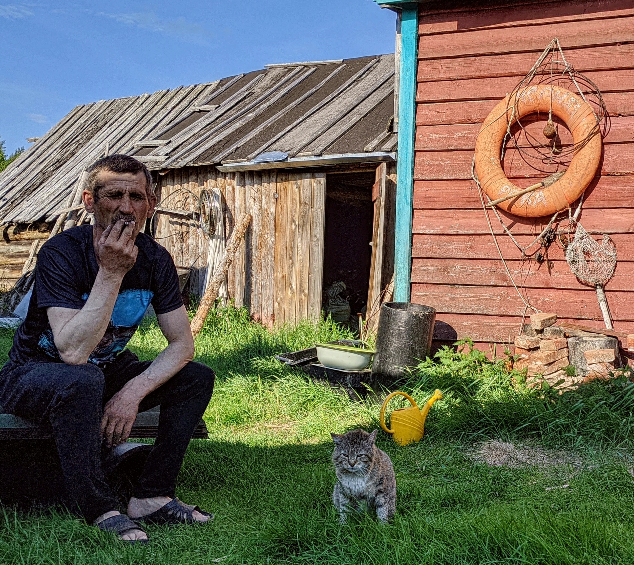 Летом в деревне - Фотография, Мобильная фотография, Кот, Домашние животные, Деревня