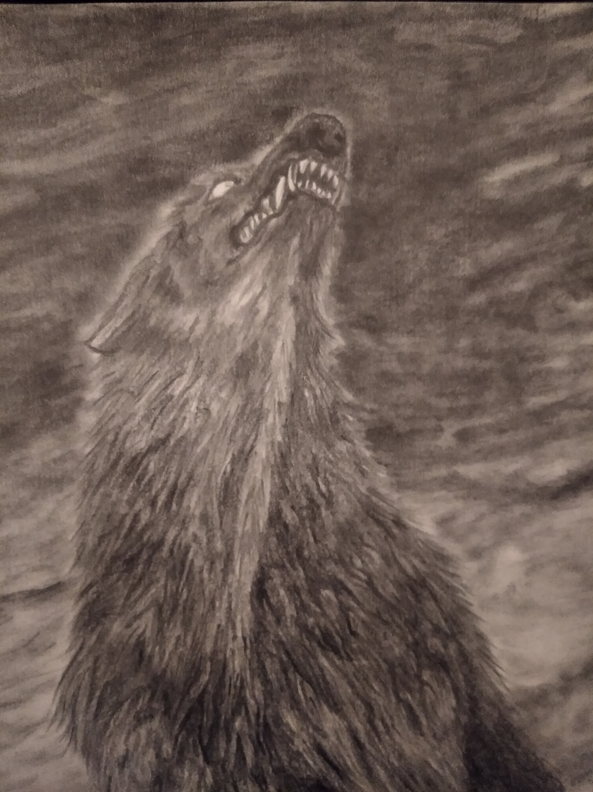 Fenrir - My, Pencil drawing, Beginner artist, Fenrir, Longpost