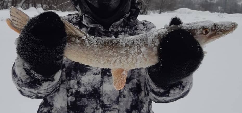 Towards northern Aurora. Reconnaissance by combat - My, Fishing, Winter, A fish, The photo, Pike, Ice, River, beauty of nature, The nature of Russia, Mat, Longpost, Poems