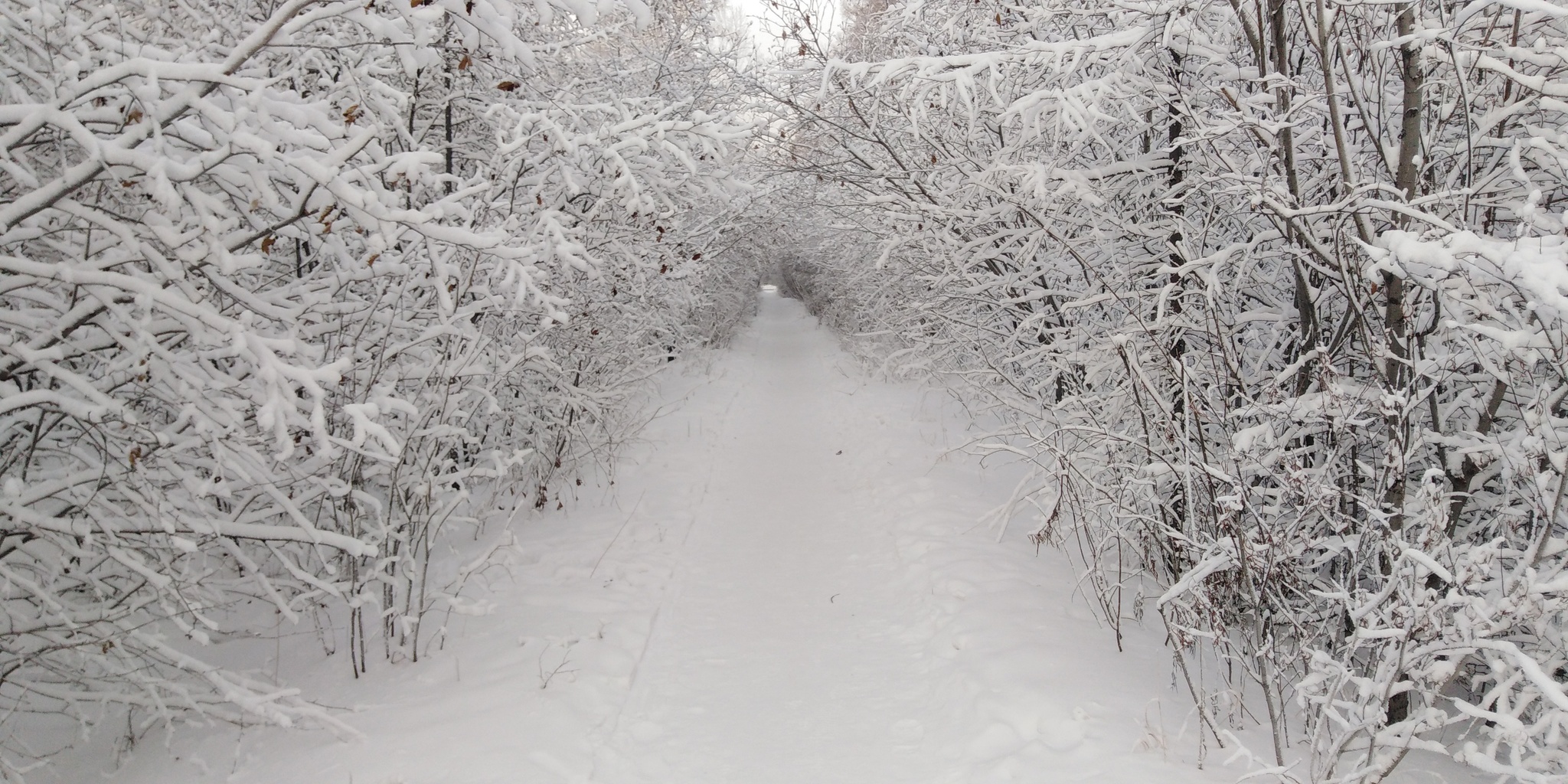 Winter Corridor - My, Winter, Neryungri, The photo