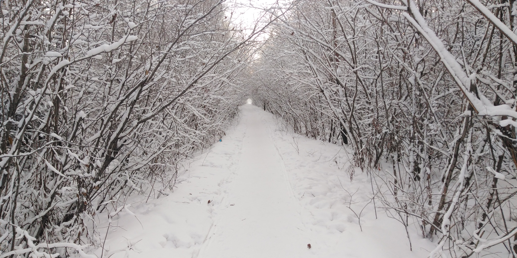 Winter Corridor - My, Winter, Neryungri, The photo