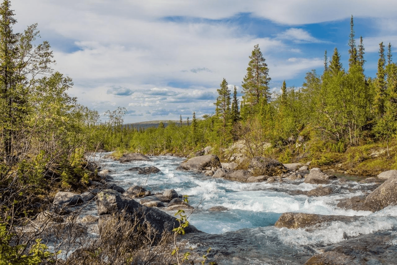 A story about a hike in Khibiny in the summer of 2020 (Sport, 1 ks) - Part 1 - My, Khibiny, Kola Peninsula, Hike, Russia, Tourism, Mountain tourism, Longpost