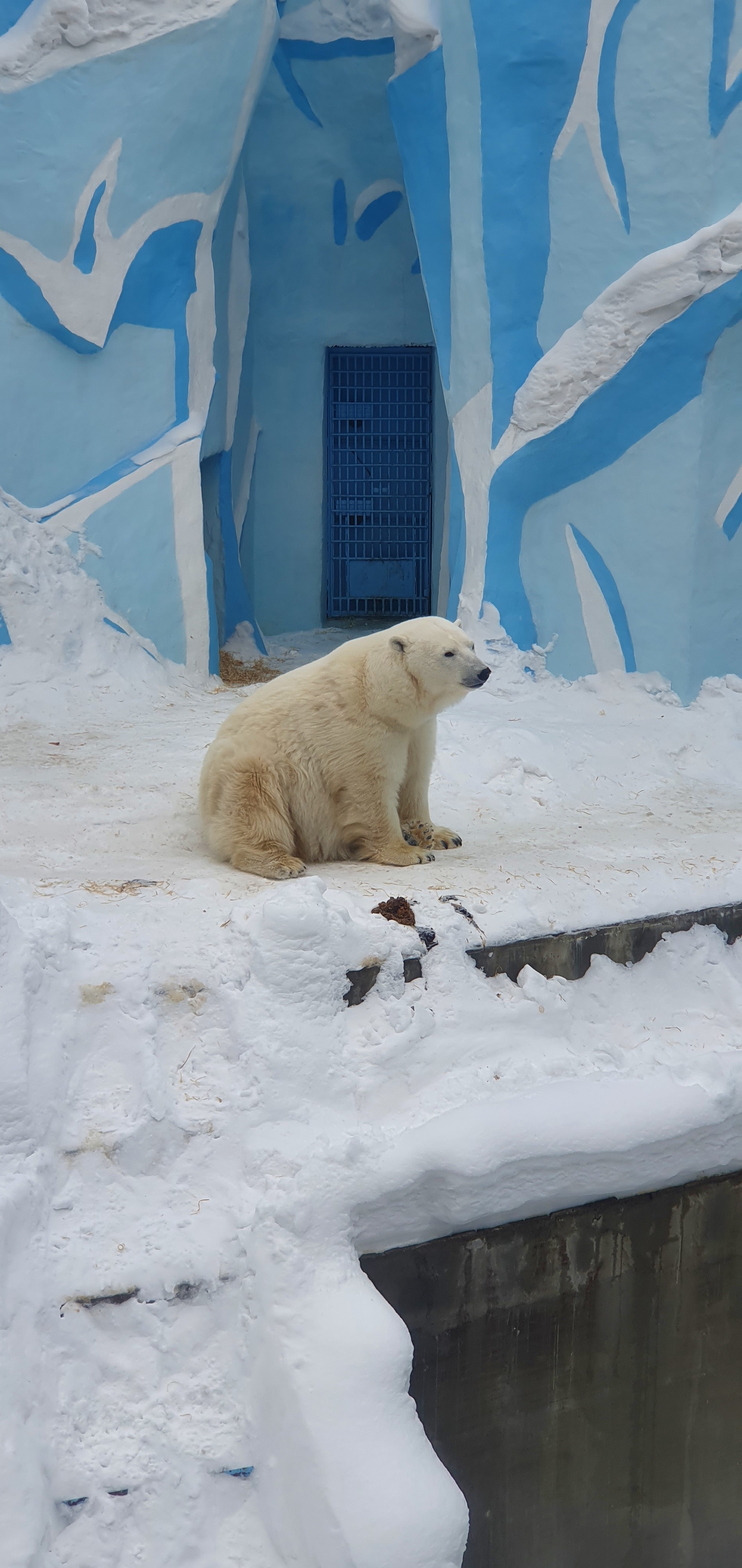 Novosibirsk Zoo - My, Beginning photographer, Photo on sneaker, Wild animals, Mobile photography, Longpost