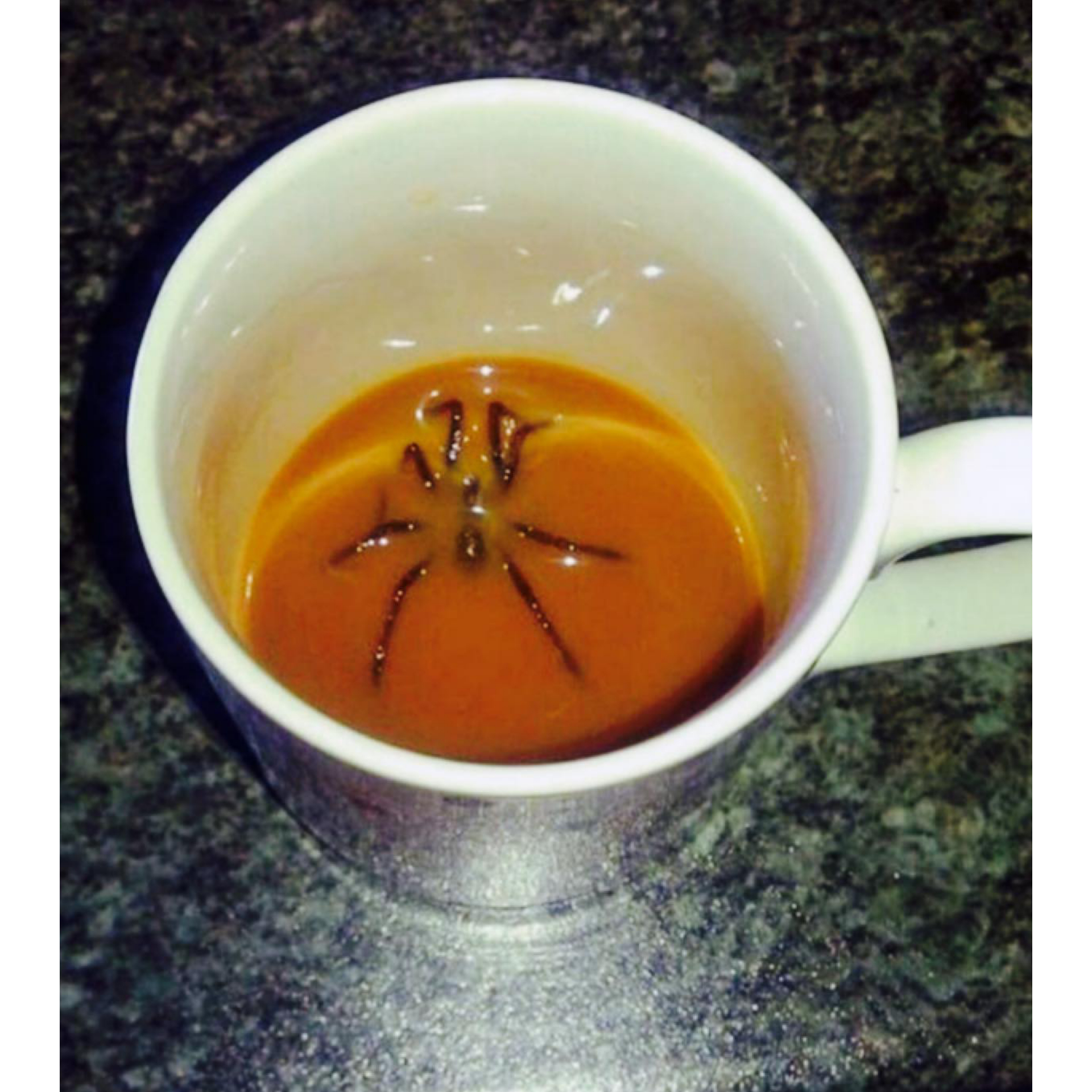 When we bought a cup with Spider-Man - My, Phobia, Spider, Longpost