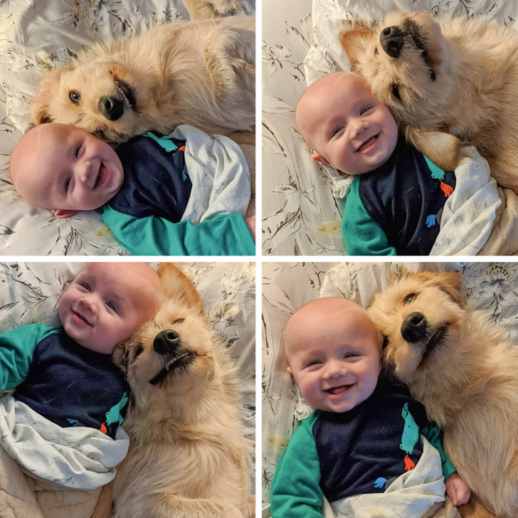 Photogenic guys - Dog, Children, Milota, Babies