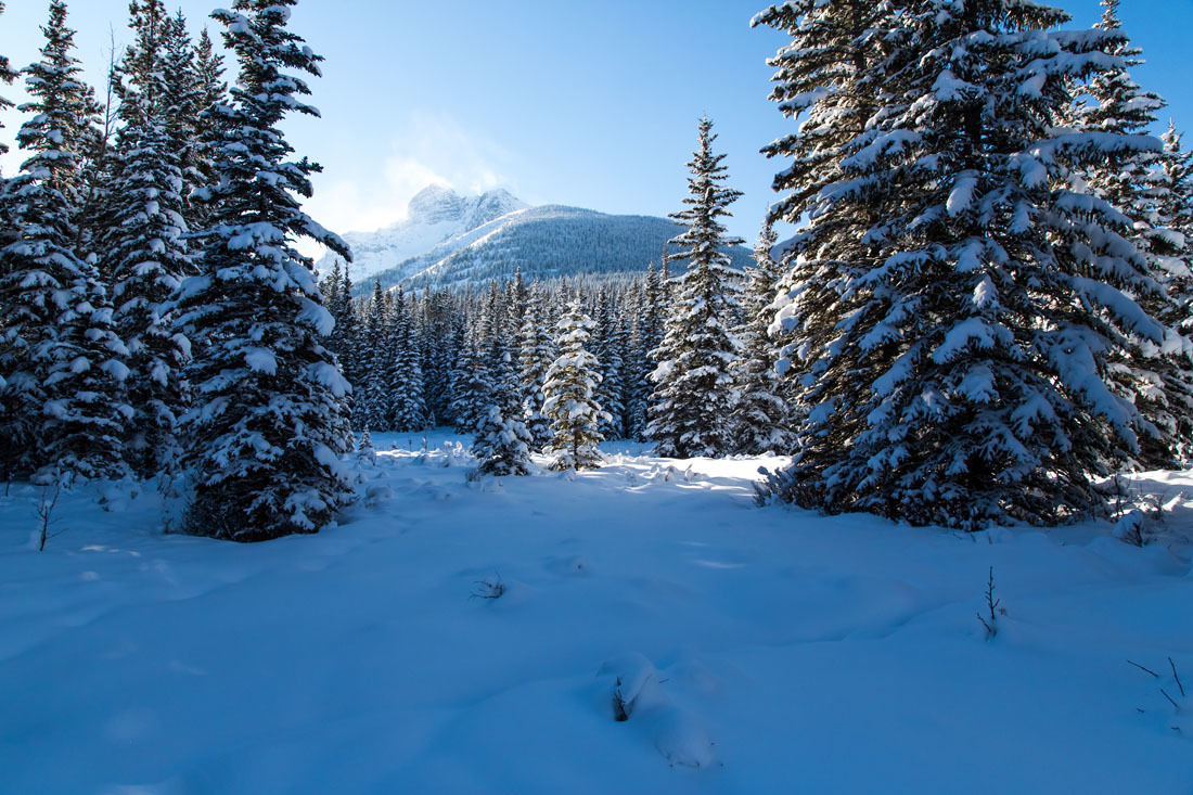 Winter. Canada - My, Winter, Snow, The mountains, Canada, Alberta