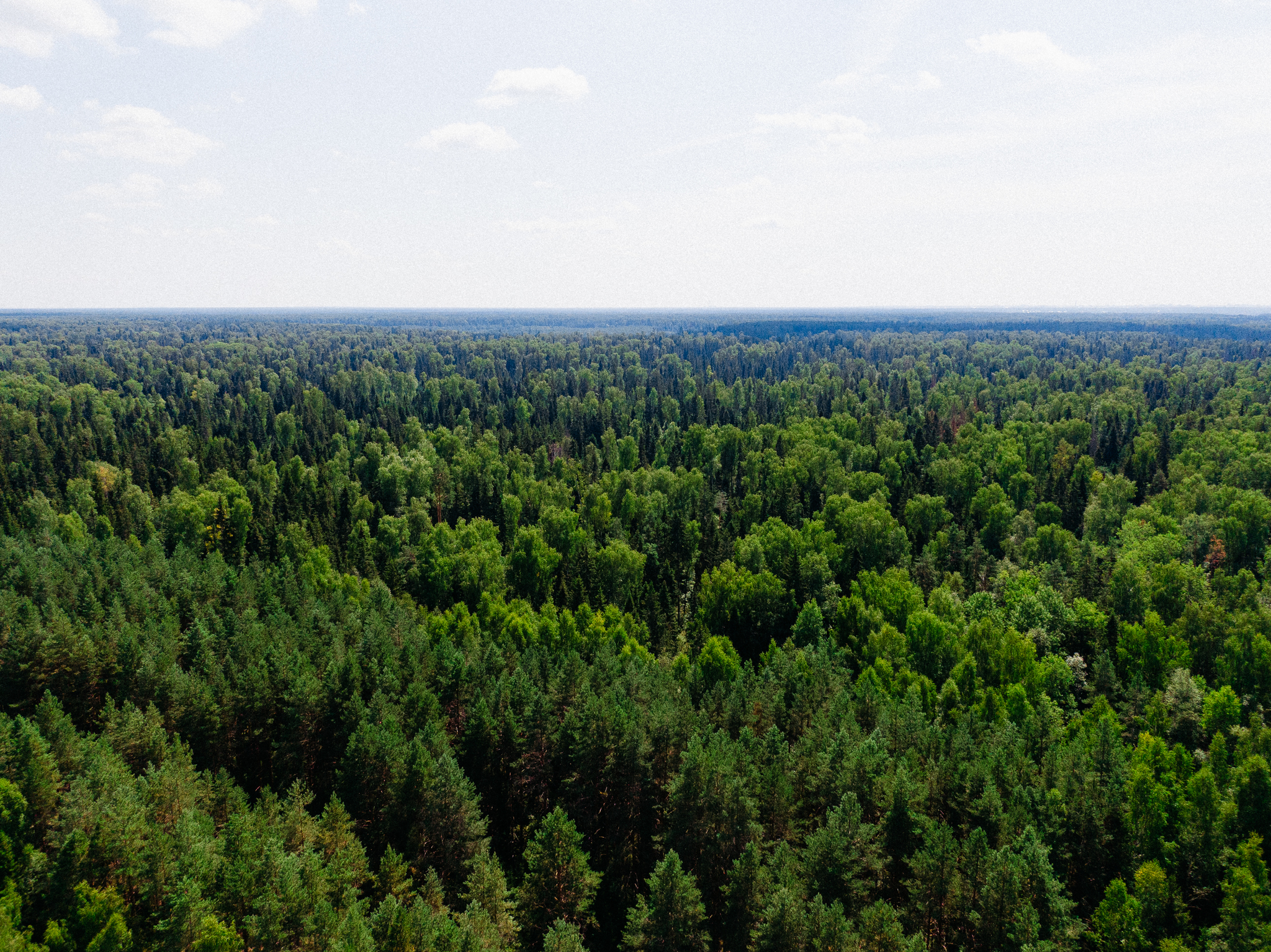 Volga-Uvod Canal. Man-made river - My, Travel across Russia, Ivanovo region, Ivanovo, Travels, Tourism, Channel, Made in USSR, the USSR, Dji, Longpost, Aerial photography