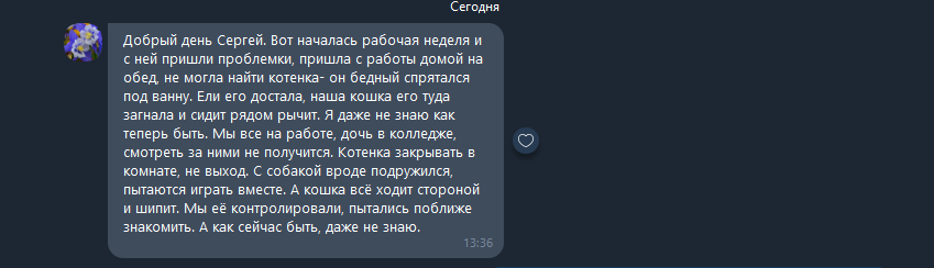 I ask for Peekaboo's help! Do not return the cat - My, Impudence, No rating, Avito, The strength of the Peekaboo, A complaint, Longpost