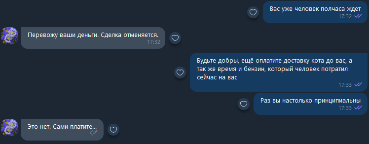 I ask for Peekaboo's help! Do not return the cat - My, Impudence, No rating, Avito, The strength of the Peekaboo, A complaint, Longpost