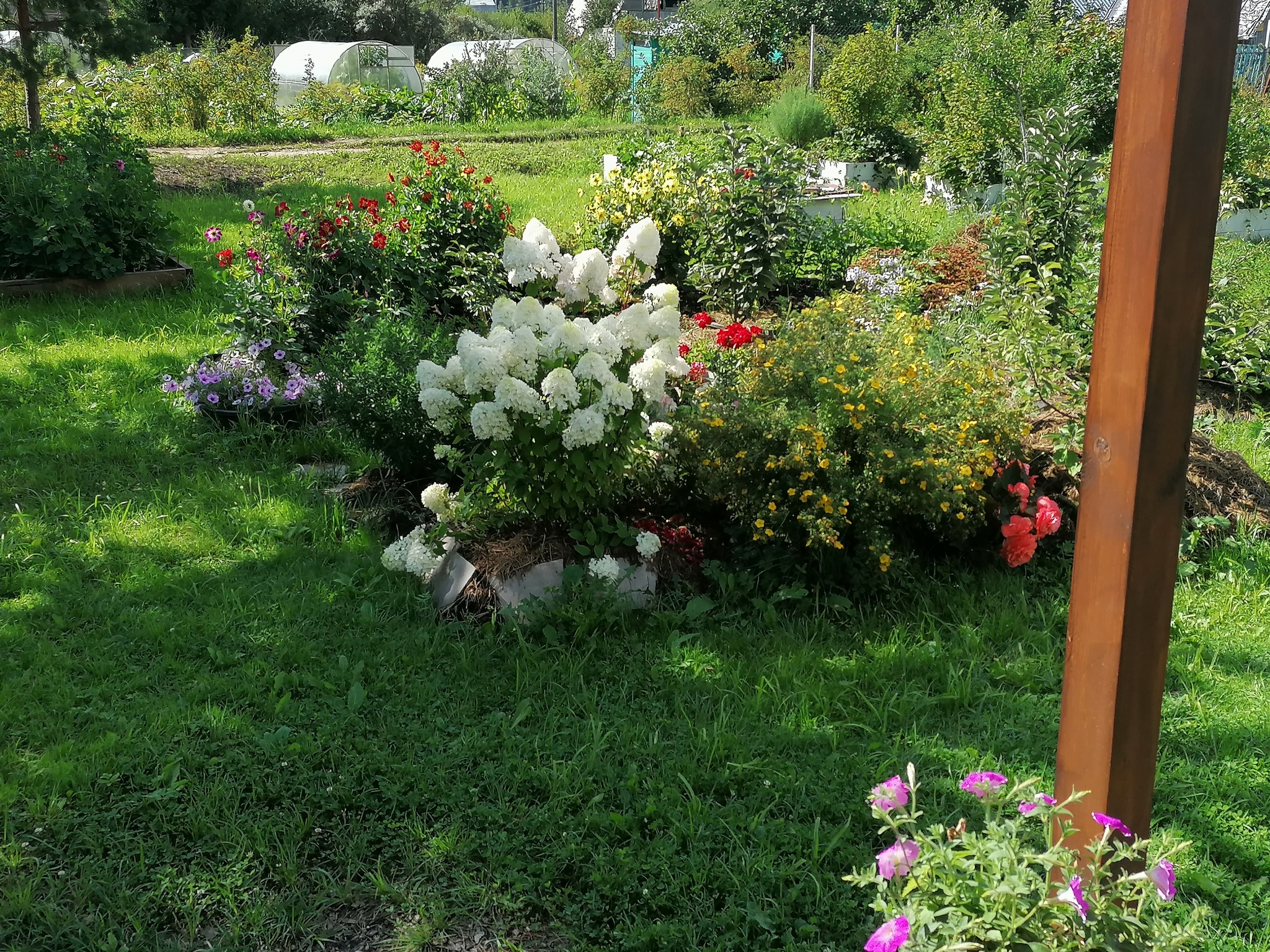 Transformation of an abandoned site - My, Dacha, Longpost, Garden, It Was-It Was, With your own hands