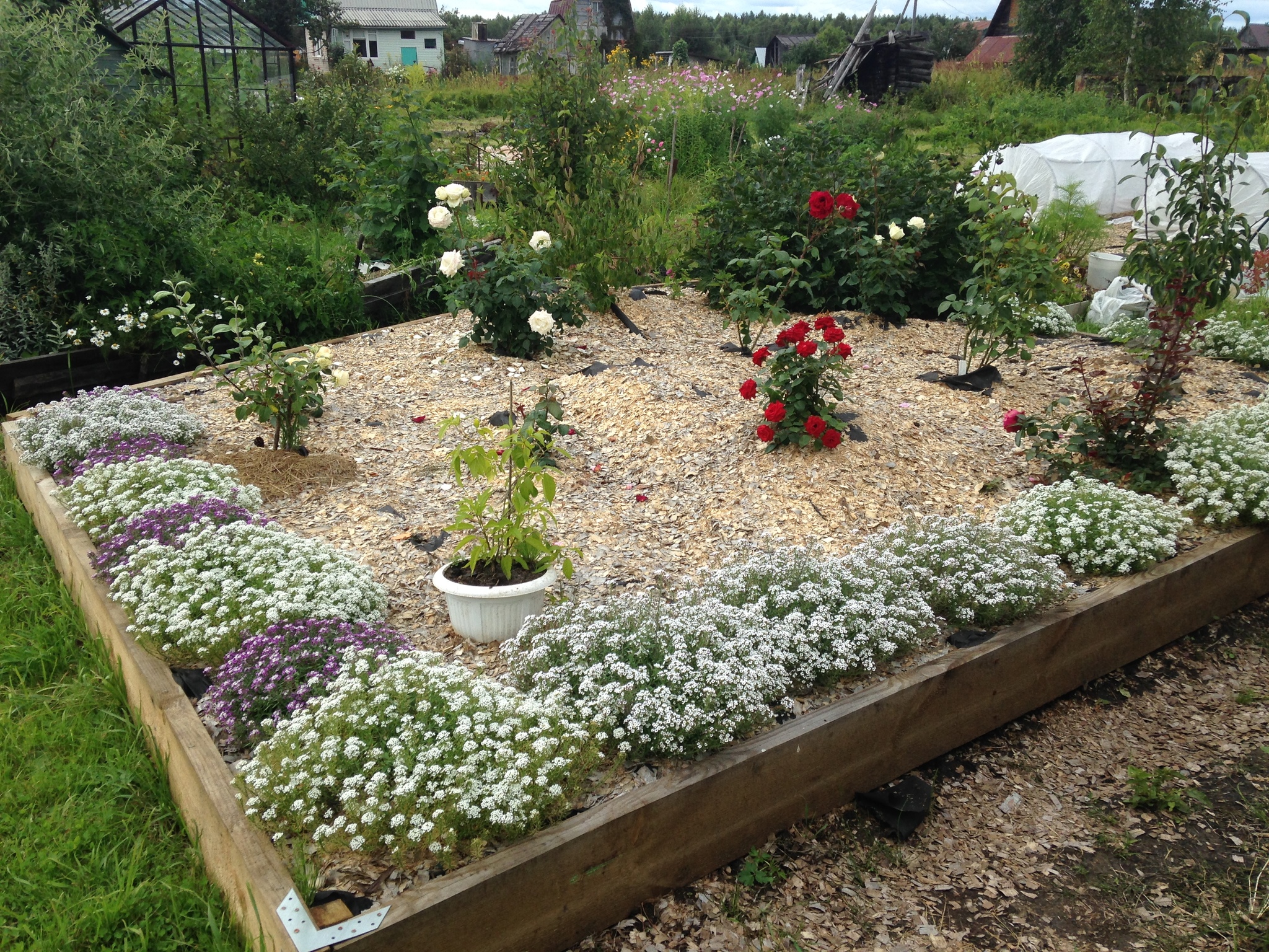 Transformation of an abandoned site - My, Dacha, Longpost, Garden, It Was-It Was, With your own hands