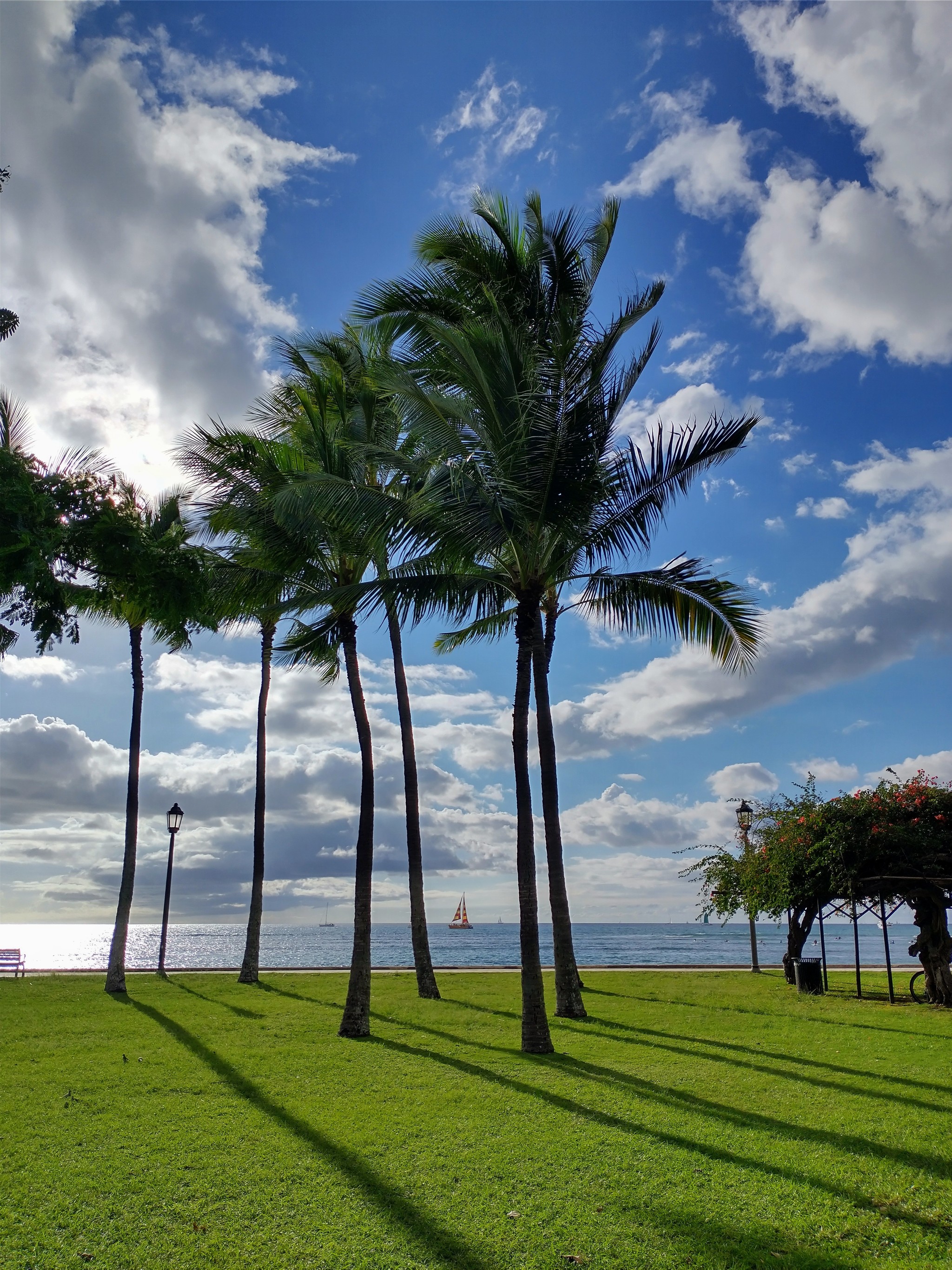 New Year's Eve in Hawaii - My, Vacation, Travels, Nature, Tourism, Pacific Ocean, Hawaii, Longpost