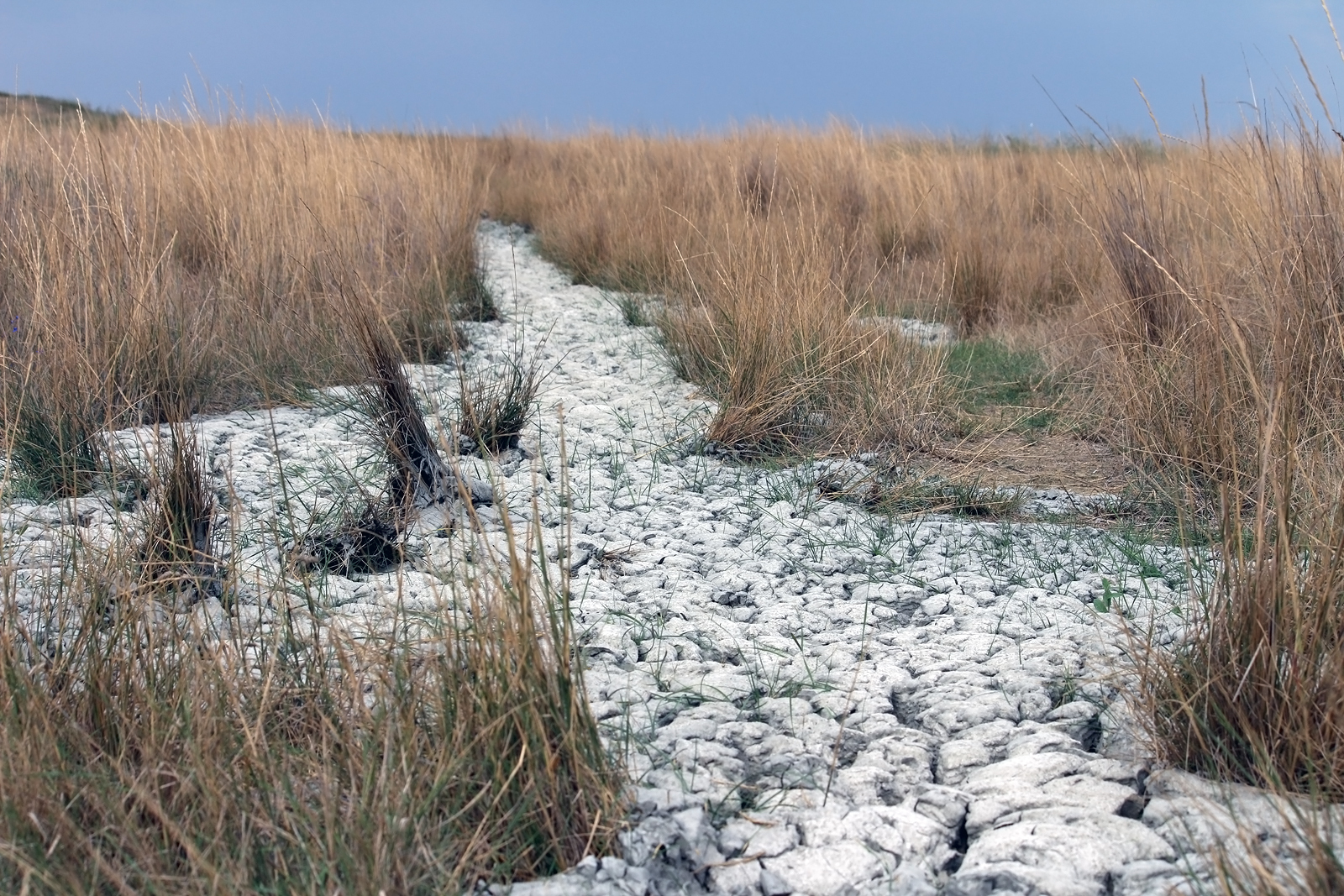 Akhtanizovsky mud volcano - My, Taman Peninsula, Volcano, Travel across Russia, Longpost, Mud volcanoes