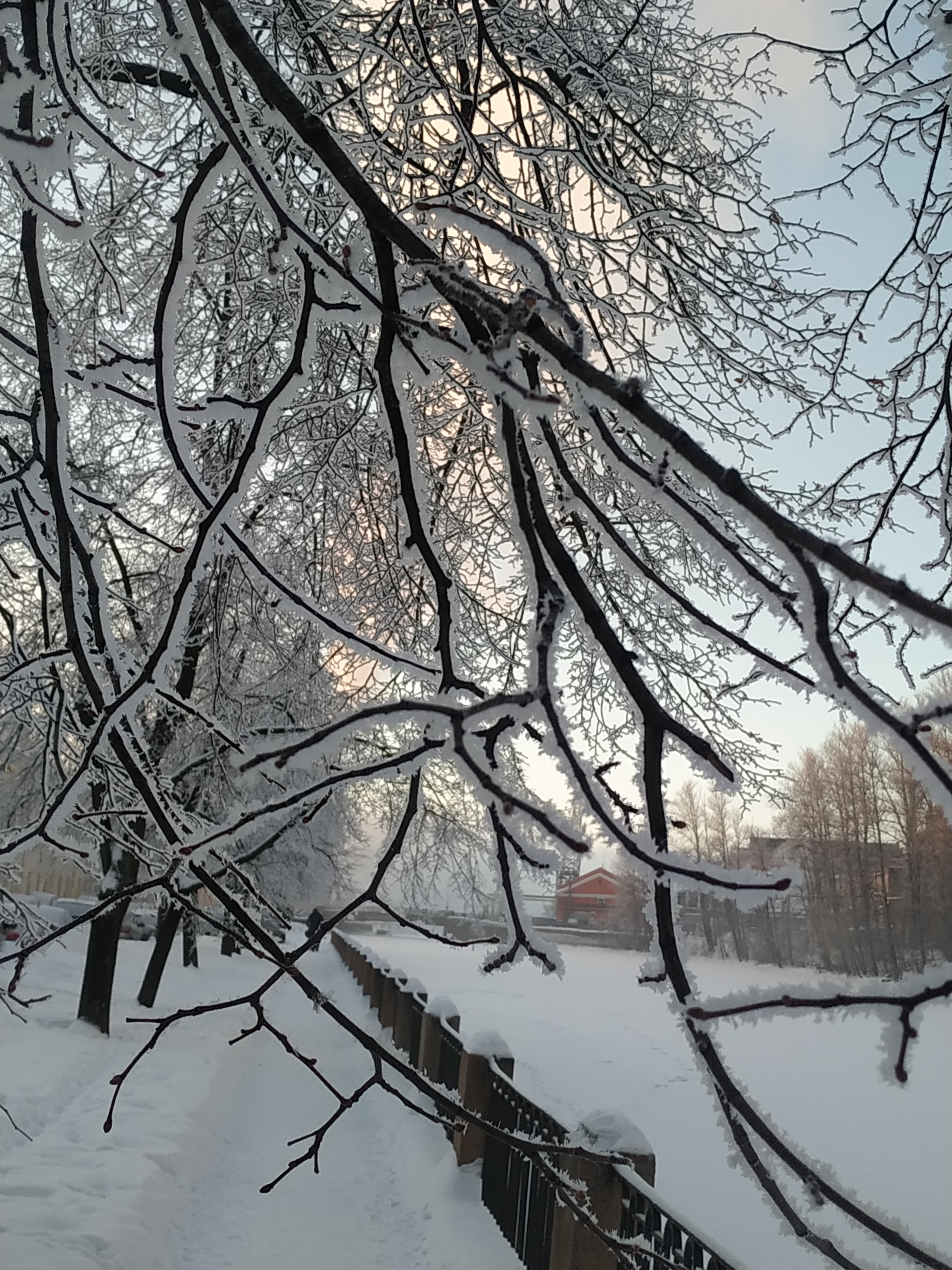 Frosty mood - My, Saint Petersburg, The photo, Winter