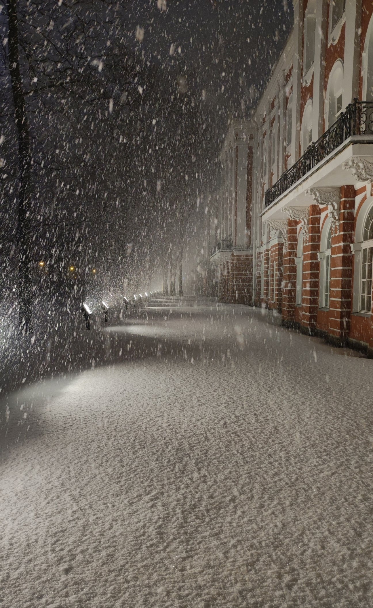 Woke up and became a pioneer - Snow, Winter, Town, Atmosphere, Saint Petersburg