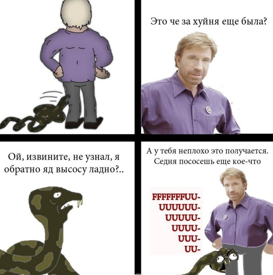 Шутки про Чака Норриса змея