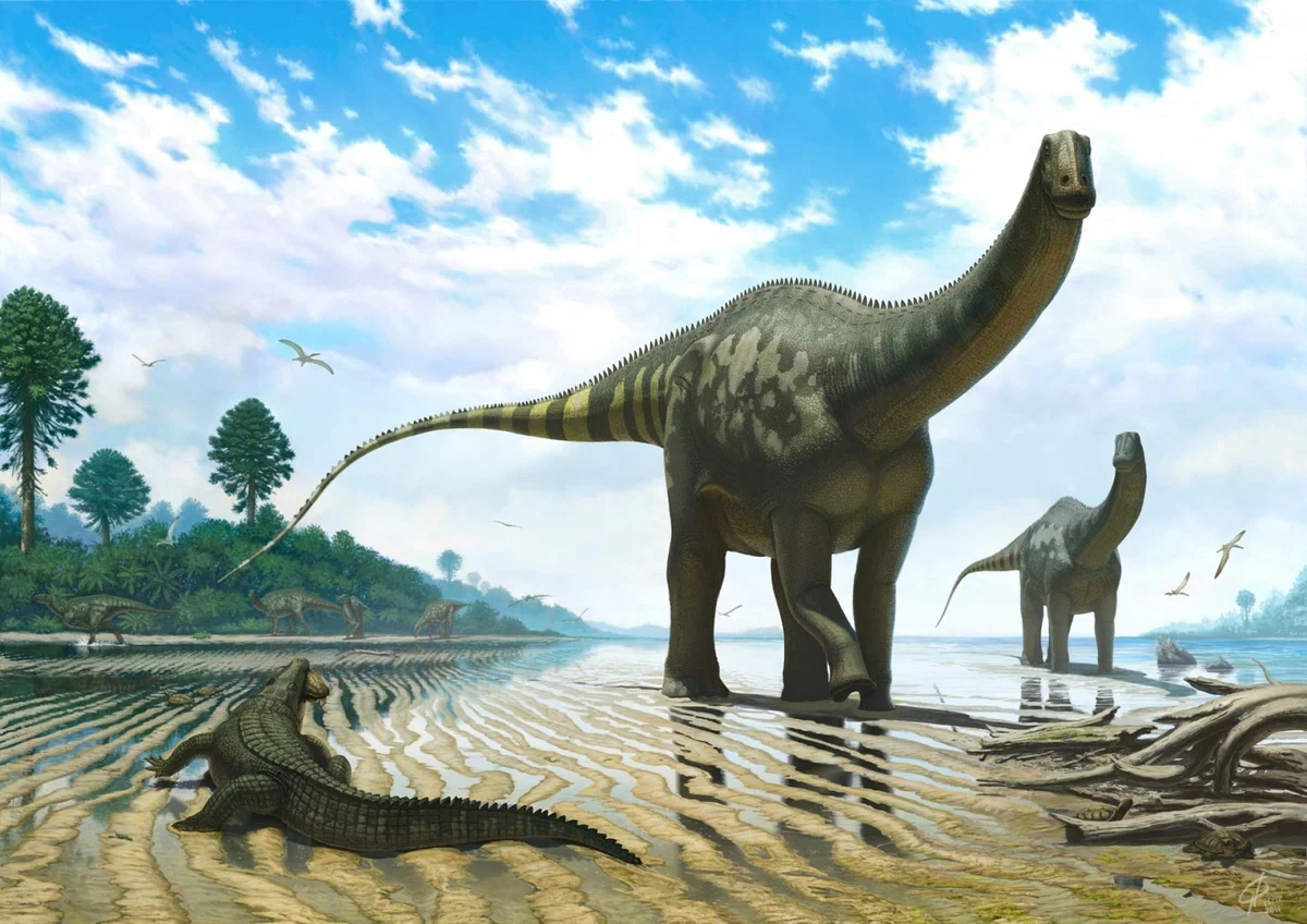 Апатозавр. 
