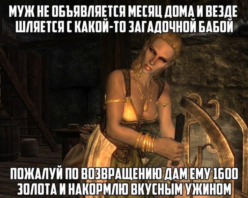 Perfect wife - Games, The Elder Scrolls V: Skyrim, Wife, Picture with text