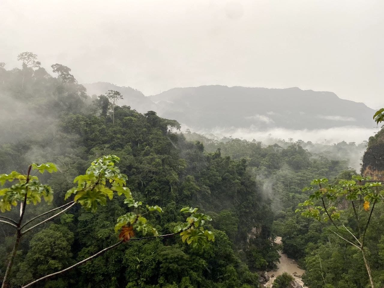 How I went to Peru ayahuasca to drink. First ceremony - My, Ayahuasca, Ayahuasca, Peru, Travels, Psychedelic, Shamans, Amazon, Jungle, Experience, Personal experience, Longpost