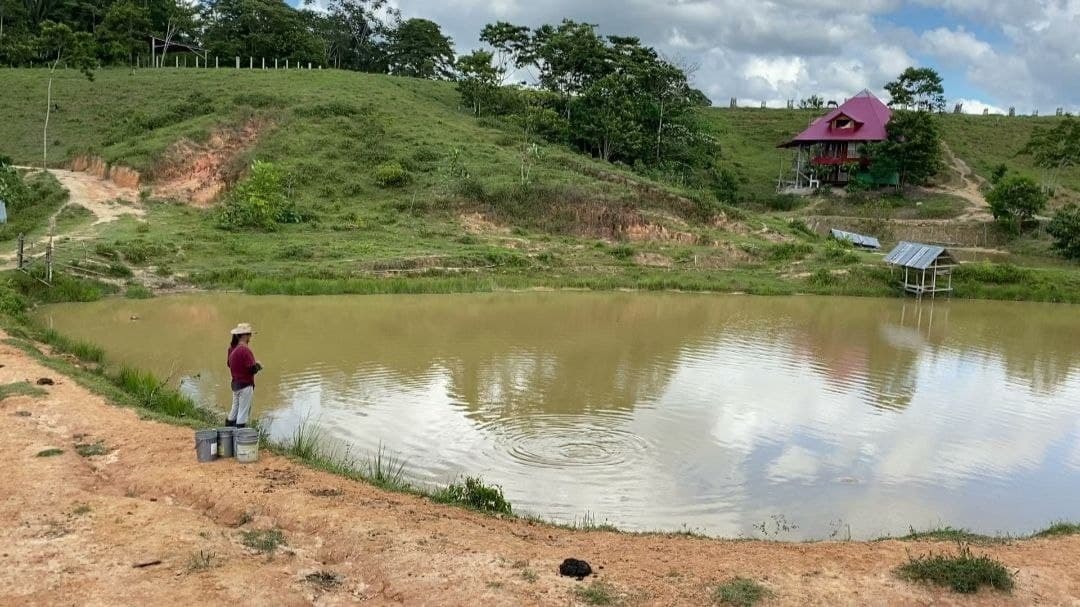 How I went to Peru ayahuasca to drink. First ceremony - My, Ayahuasca, Ayahuasca, Peru, Travels, Psychedelic, Shamans, Amazon, Jungle, Experience, Personal experience, Longpost