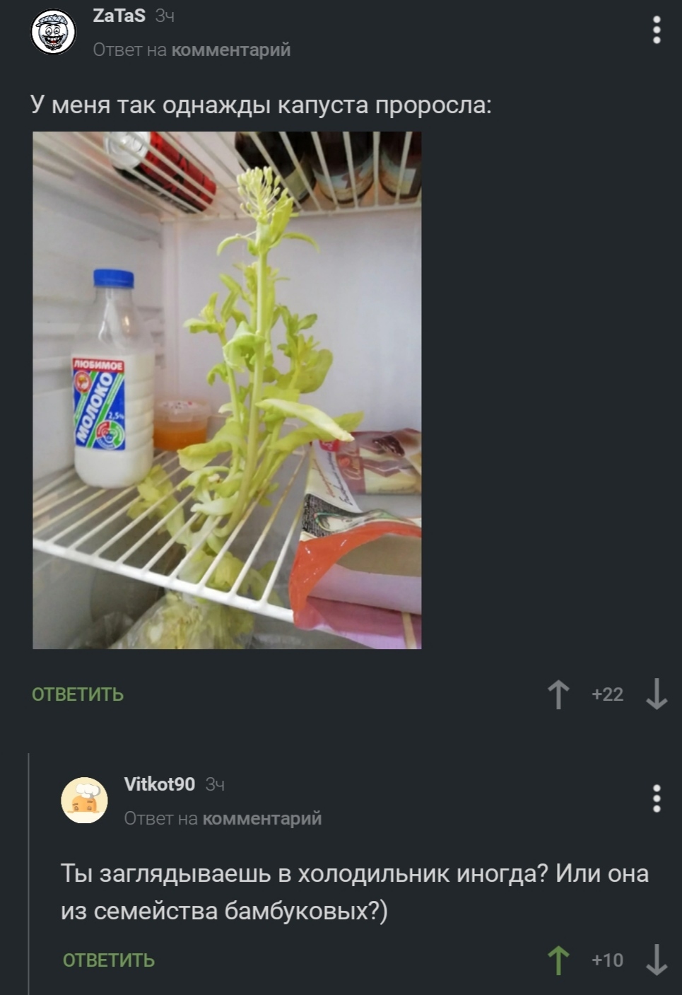 Pikabu Botanical - Screenshot, Comments on Peekaboo, Cabbage, Forgetfulness, Humor