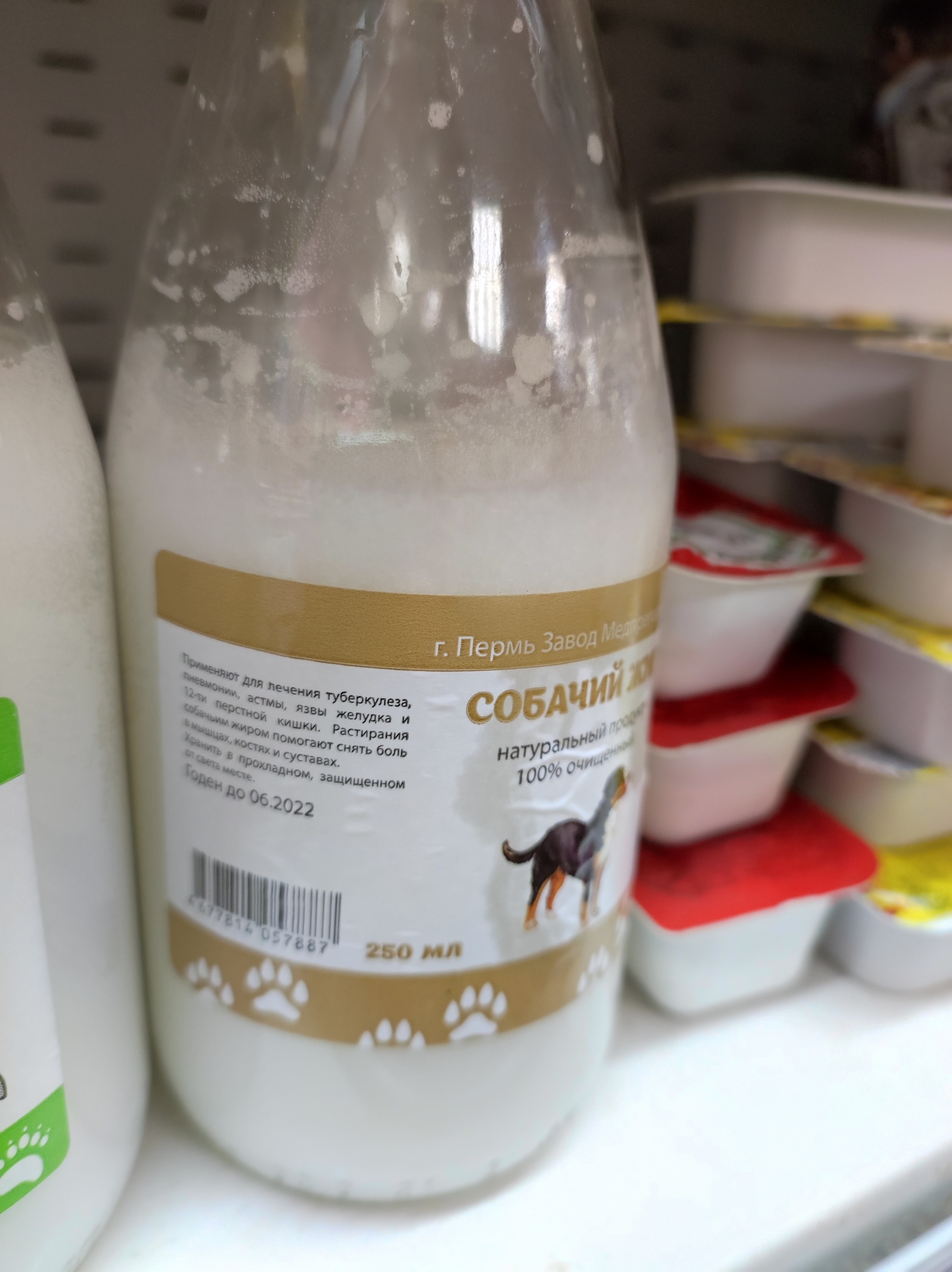 Можно я просто пожалуюсь немного? У нас собачий жир продают в магазине ...