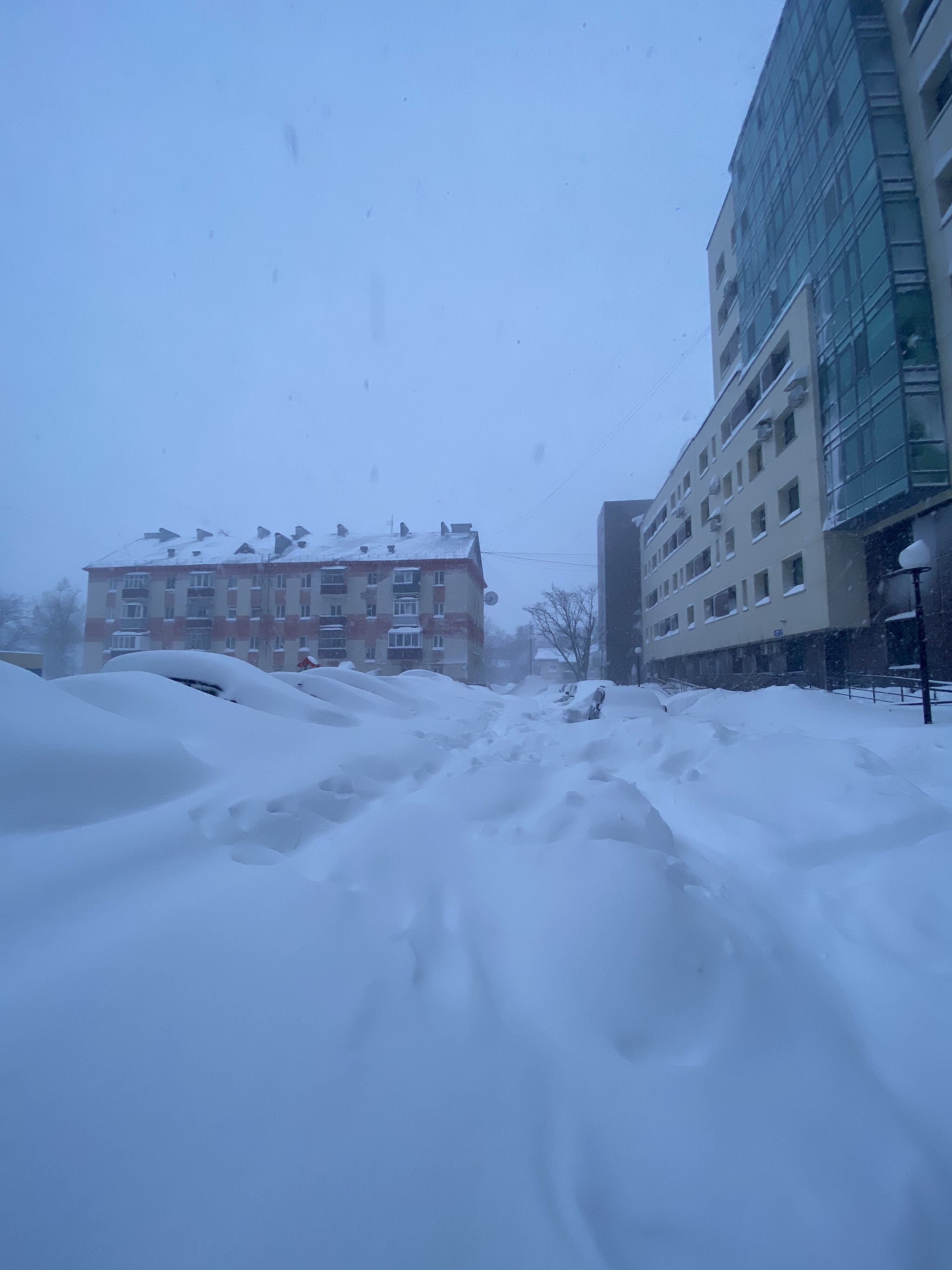 В Южно-Сахалинске введён режим ЧС из-за циклона | Пикабу